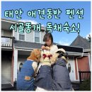 왕곡애견동반펜션 | 태안 애견동반 펜션 시골똥개 후기 - 개별 마당 있는 독채 숙소 추천!