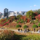 남산공원 이미지