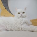 반짝반짝