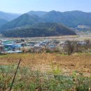 고성양지부동산공인중개사무소 | 인제군 천도리 토지매매 #인제군서화면토지