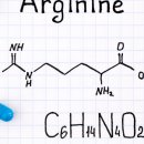 아르기닌의 효능 및 부작용 알아보기 이미지