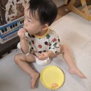 감귤향기 | 예찬농원 타이백감귤 후기 | 쌍둥이맘의 찐 솔직 리뷰 (feat. 제주도감귤 장단점)