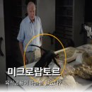 달빛사냥노래연습장 | 1m도 안 되는 크기 “새처럼 날던 공룡”의 진짜 정체는 무엇일까?