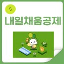 오늘더채움 이미지
