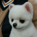 플리마코 협동조합 이미지