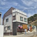 양지초장 | 거제 장목 맛집, 지금 딱 제철! 멸치회·멸치쌈밥 제대로 먹고 온 후기- 양지바위횟집