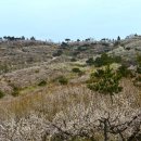 대화농장 이미지