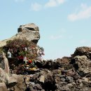 종달리 생개납 돈짓당 이미지