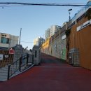 대구제일중학교 티스토리