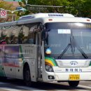 천일여객 영산정류소 | [20240630] 해운대시외버스정류소, 부산서부시외버스터미널, 부산종합버스터미널 (시외)