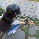 고봉로185번길R | [광주 어등산 승마장] 2025 학생승마체험 후기 :)