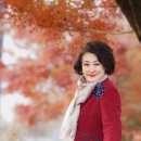 카페모모 이미지