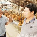 송라목장 이미지