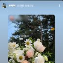소피토제주