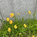한빛이비인후과의원 | [인천 구월동 이비인후과] 모래네시장역 인근 “한나의원” 몸살로 인한 영양제 수액 주사 후기