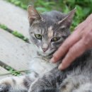 소금강펜션 이미지