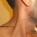 경희엘피스한의원 이미지