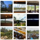 가든포레스트 이미지