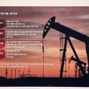 (주)재테크부동산중개법인 | 재테크 공부｜40일간의 산업일주 39일차: 상사업 - 중개자이면서 생산자인 현대판 만물상