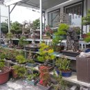 바다나라식당 이미지