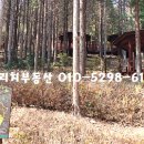 수정4동 주민센터 이미지