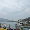 대흥전복식당 | [완도맛집] 완도 바다 앞 '대흥전복식당' 전복코스요리 2인 내돈내산 후기