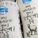 고피자태릉