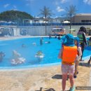 강원파크 | 강원 웰리힐리 워터파크후기(입장료, 할인, 준비물 총정리)