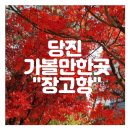 홍s컴퍼니 이미지