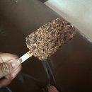 옹기종기 김밥이랑 떡복이랑 | 8월 / D+522~527 / 인생에서 제일 꼬질했던.../ 철거 시작 / 친정살이 시작 / 살크업 스타트