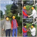 강남재활요양원 1동