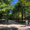 궁골어린이공원 이미지