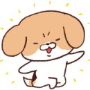 뽑기 뽑기 이미지