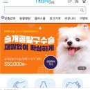 마이펫동물병원 이미지