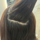 지유맛집 | 강남역 미용실 염색 맛집 차심 본점 지유쌤 후기