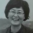 신효동-9 제주의소리