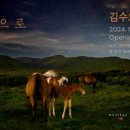 제주의 제주마 이미지