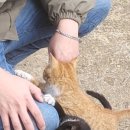 삼화3리 이미지