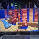 게임투게임 이미지