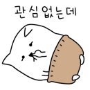 티소트카페