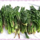 양지초장 이미지