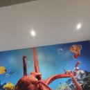 충주자연생태체험관(지하1) 이미지