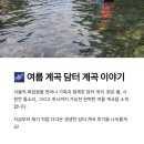 담터계곡펜션 | 담터 계곡 &#39;별헤는 밤 펜션&#39; 당일치기