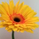 팜팜스토어 이미지