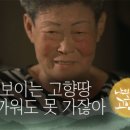 바다기획 이미지