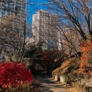 광덕산근린공원 이미지