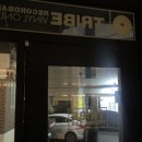 트라이브 레코드 바