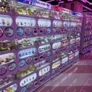 봉봉스테이션울산삼산2호점 | 블챌 11주차 | 울산 삼산 봉봉 스테이션 가챠