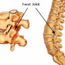 정림한의원 이미지