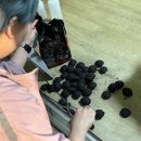 옥상파티 이미지